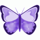 الصورة الرمزية الفراشة المتألقة