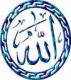   Mr.Mostafa