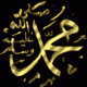 الصورة الرمزية غفساوية