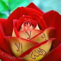 الصورة الرمزية معاذ العبيدي