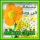 الصورة الرمزية مصطفى المسلم