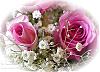   siham311