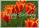   imran_001