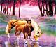   sameer_sawafta